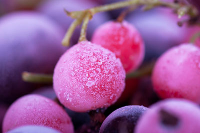02 Purple berrie