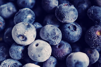 08 Blue Berries